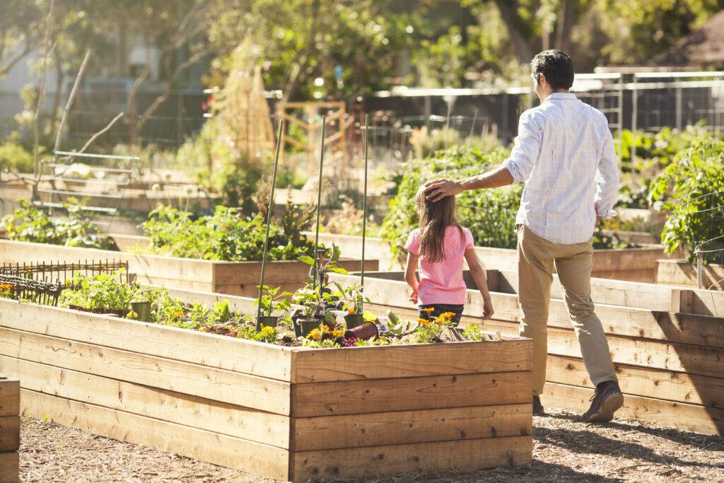 Raised Garden Bed Ideas