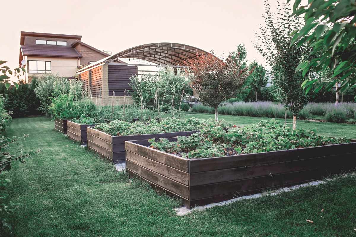 Raised Garden Bed Ideas for Your Backyard