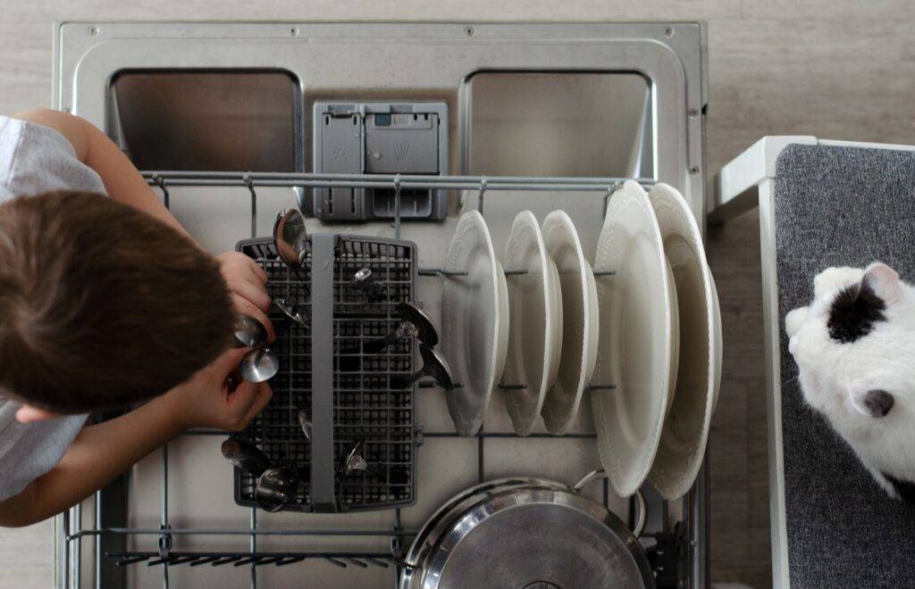 the boy unloads the dishwasher with the cat 2023 11 27 04 53 30 utc